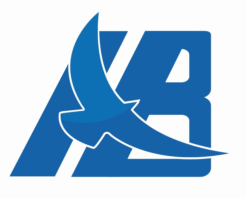 obo公司,Obo开拓科技新篇章，引领创新之路